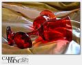 3013-Insieme_a_te-02_004-Insieme a te